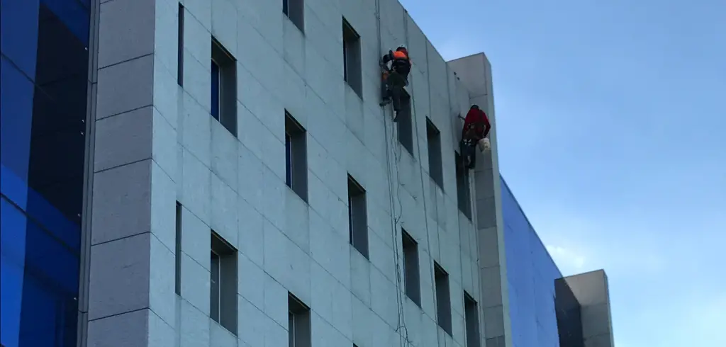 Lineas de vida verticales principal desktop